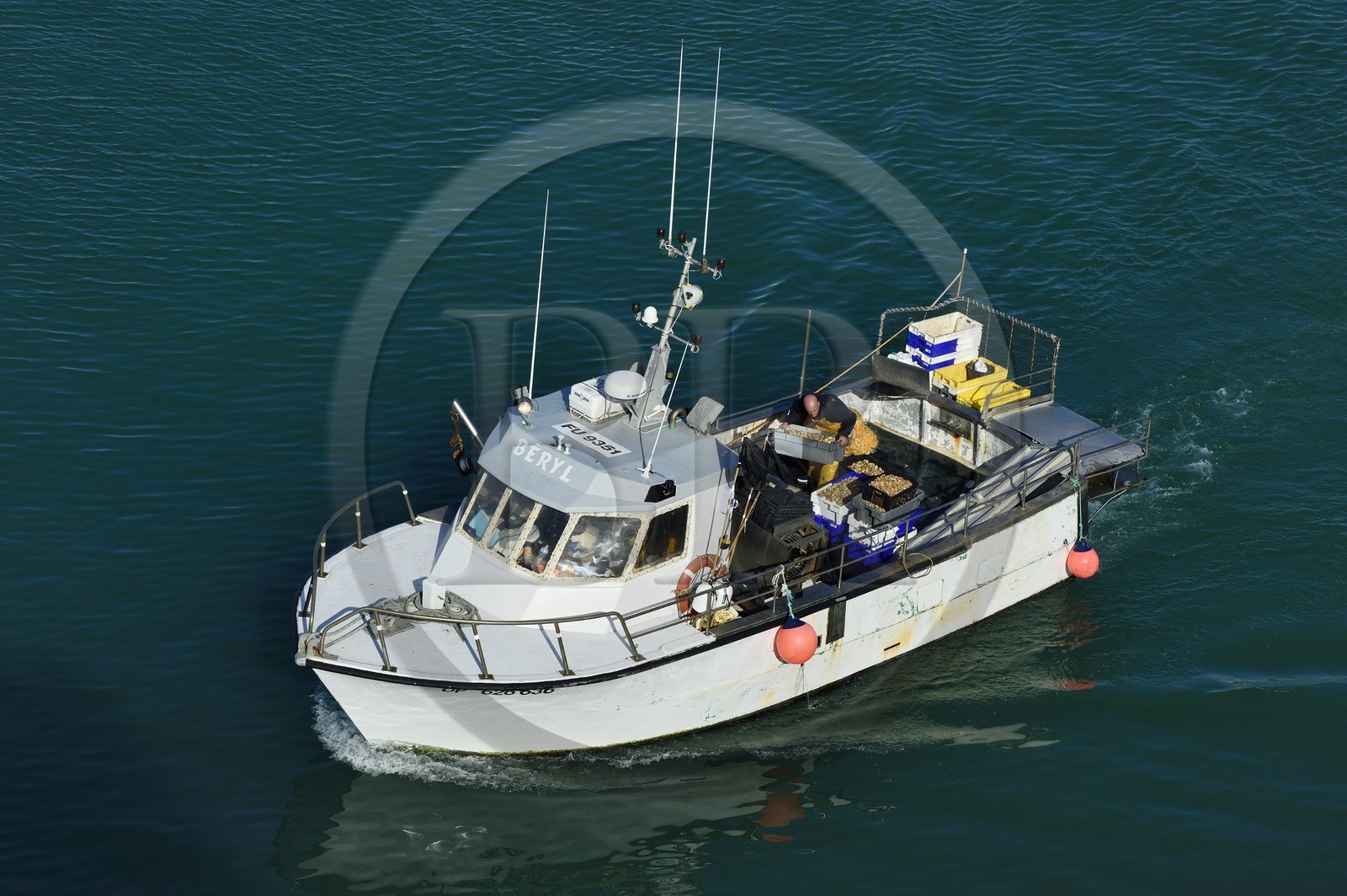 France, Seine-Maritime (76), Pays de Caux, Côte d'Albâtre, Fécamp, retour au port d'un bulotier, bateau destiné à la pêche aux bulots