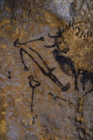 France, Dordogne, Montignac, Montignac-Lascaux Parietal Art international Centre (Lascaux 4) building site, educational space taking up panels of the cave made by the Atelier des Fac-Similés du Périgord (Perigord's Facsimile Workshop AFSP), painting of the ithyphallic man with bird head anthropomorphic figure in the reproduction of the well of the cave