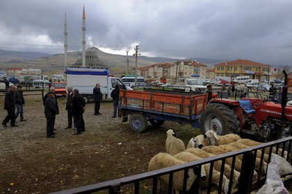 Turquie, Anatolie Centrale, province de Nevsehir, Cappadoce classée Patrimoine Mondial de l'UNESCO, marché aux bestiaux d' Ürgüp