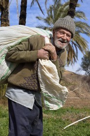 Iran, Province d'Ispahan, désert du Dasht-e Kavir, l'oasis d'Arousan dans la région de Khur et Biabanak, paysan dans son champ, Mohamed Vahab 85 ans
