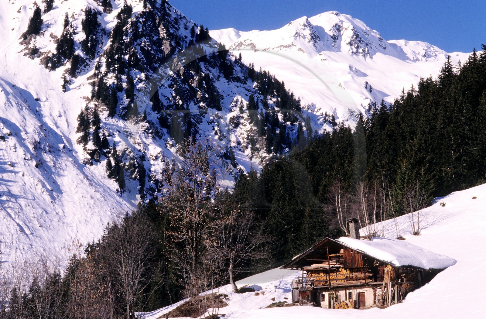 France, Savoie (73), chalet en bois à Arêches-Beaufort