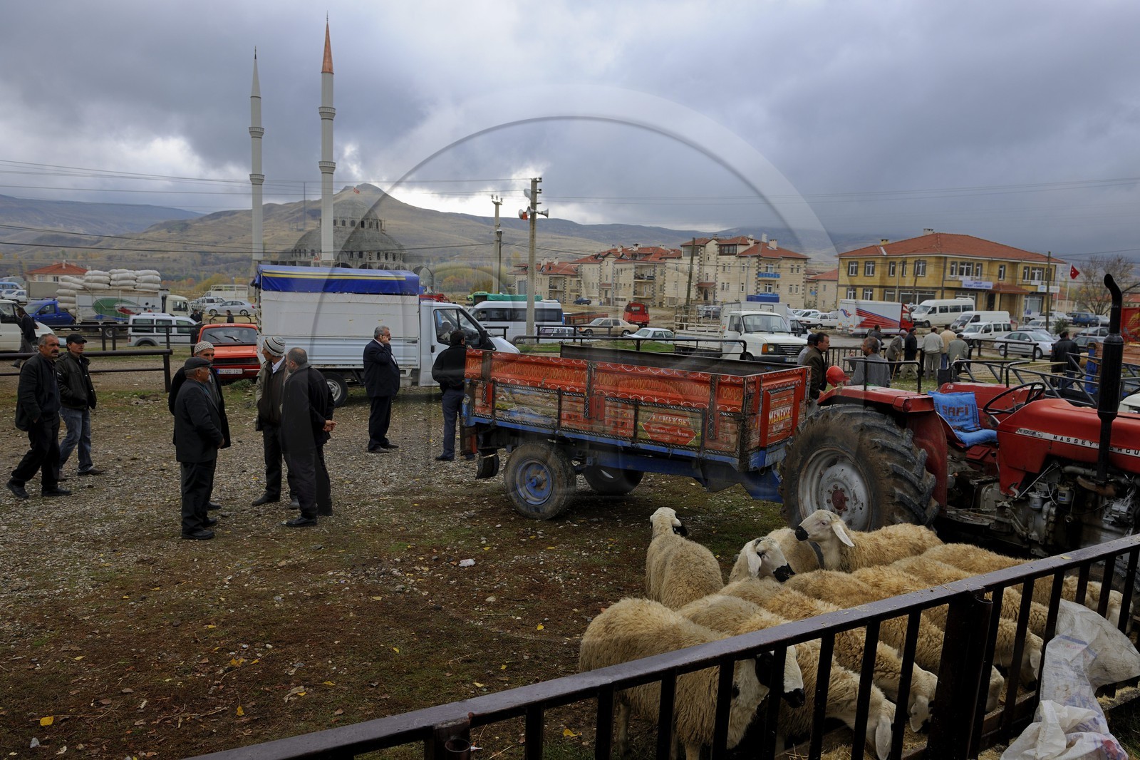Turquie, Anatolie Centrale, province de Nevsehir, Cappadoce classée Patrimoine Mondial de l'UNESCO, marché aux bestiaux d' Ürgüp