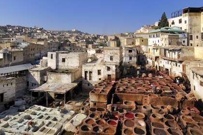 Morocco, Middle Atlas, Fez, Imperial City, Fez El Bali, medina listed as World Heritage by UNESCO, Chouara, tanners of the tannery district