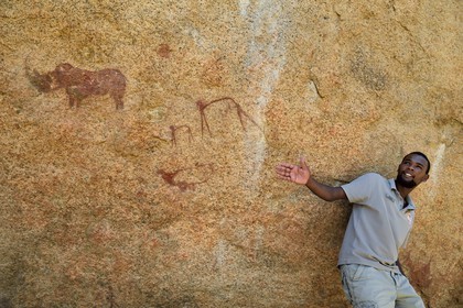Namibia, Erongo region, Damaraland, the Pondok Mountains at the east of Spitzkoppe in the Namib Desert, rock paintings under a granitic overhang called the Bushman's Paradise believed to have been made between 4,400 BCE and 100 AD, Benny the local Damara guide shows a rhinoceros and human figures