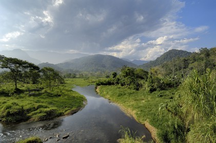 Brésil, Etat de Rio de Janeiro, le Rio Barra Grande qui descent des montagnes du Parque Nacional de Serra da Bocaina en bordure de la baie de Paraty (Route de l'or, Estrada Real)