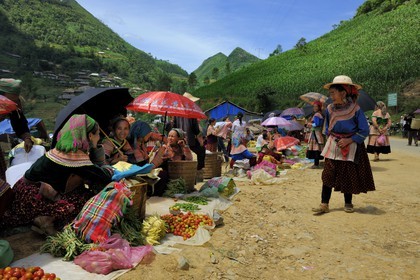 Vietnam, Lao Cai province, Bac Ha district, Can Cau market, women from the Flower Hmong minority