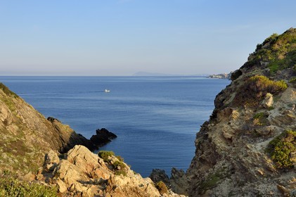 France, Var, Iles d'Hyeres, Parc National de Port Cros (National park of Port Cros), Porquerolles island, the southwest coast to the Gorge du Loup