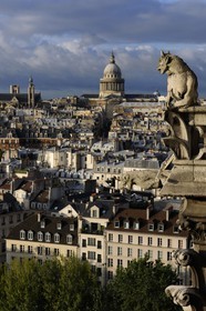 France, Paris (75), île de la Cité, la cathédrale Notre-Dame, une chimère observent le Panthéon