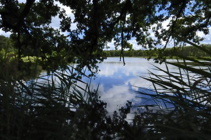 France, Loire et Cher, étang dans le domaine du château de Chambord