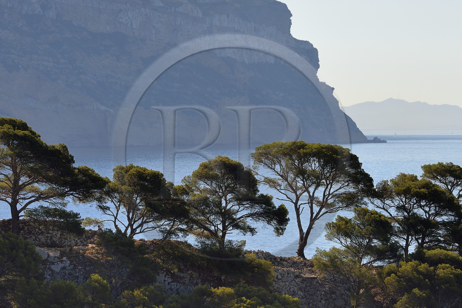 France, Bouches-du-Rhône (13), Cassis, Parc national des Calanques, Calanque de Port-Miou, pointe de la Cacau et les falaises du Cap Canaille en arrière plan (demande d'autorisation nécessaire avant publication)
