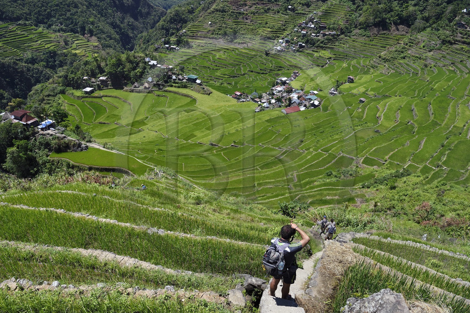 Philippines, Ifugao province, hiker overlooking Banaue rice terraces around the village of Batad, listed as World Heritage by UNESCO
