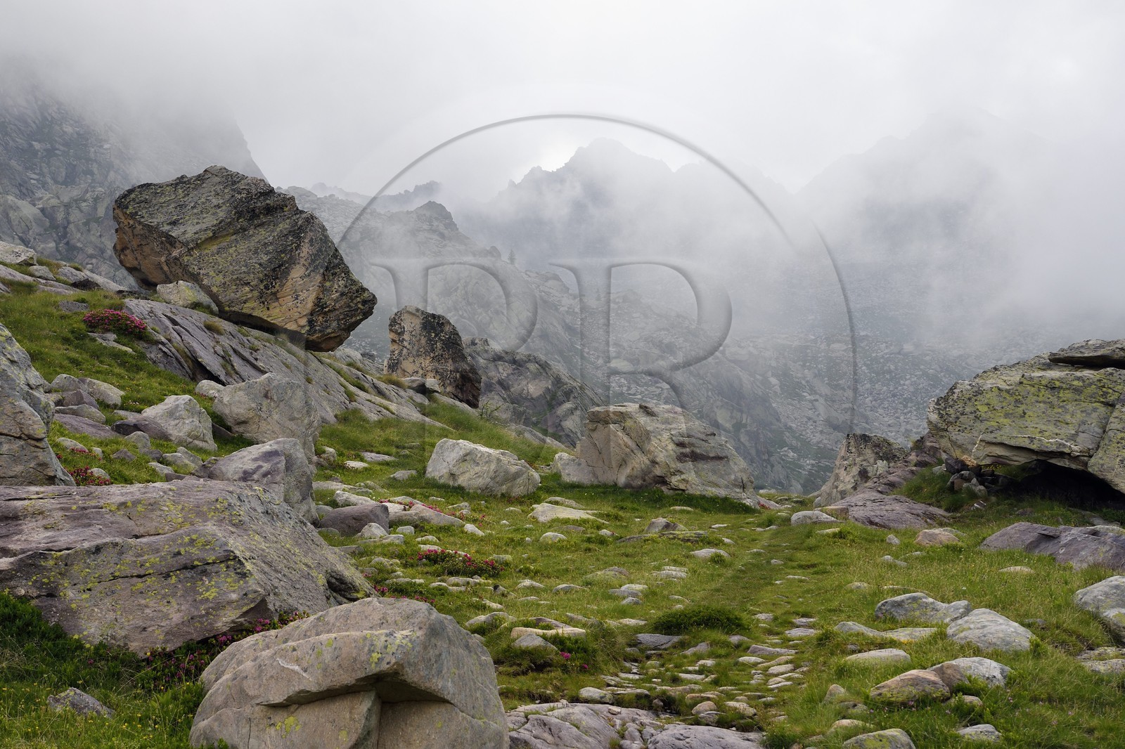 France, Alpes-Maritimes (06), parc national du Mercantour, Vallée des Merveilles parsemée de milliers de gravures rupestres de l'Age de bronze, la montagne Cime des Lacs (2510m) en arrière plan