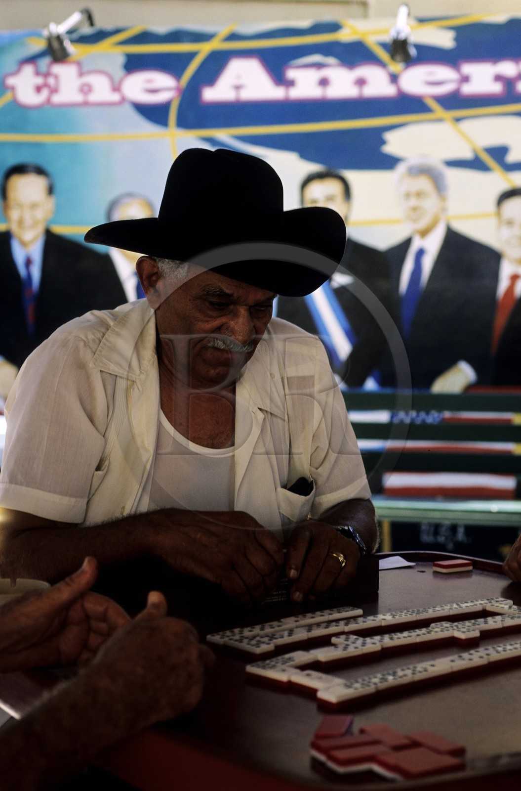 Etats-Unis, Floride, Miami, Little Havana, Calle Ocho, joueurs passionnés à Domino Park