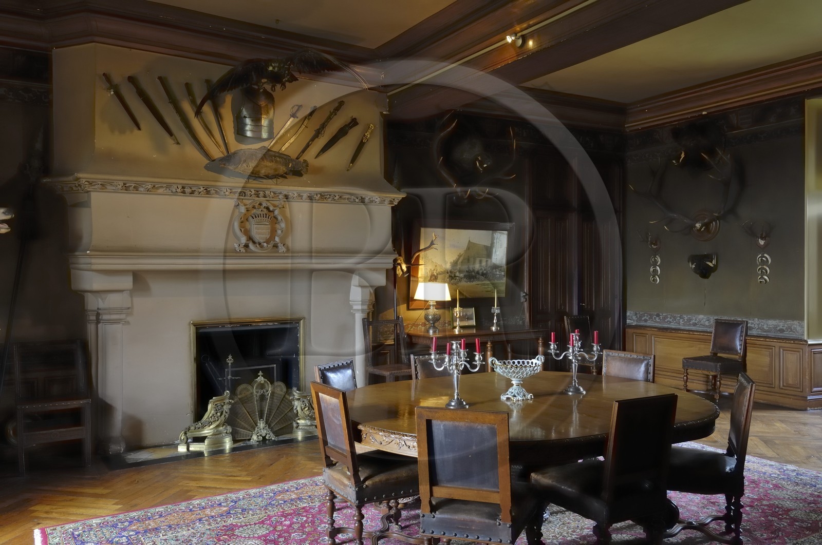 France, Indre-et-Loire (37), Montrésor, le château