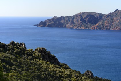 France, Corse-du-Sud (2A), Golfe de Girolata, classé Patrimoine Mondial de l'UNESCO, et la Réserve naturelle de la presqu'île de Scandola en arrière plan