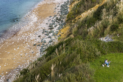 France, Pyrénées-Atlantiques (64), la côte du Pays-Basque, Saint-Jean-de-Luz, sentier du littoral sur le GR 8 en bordure de la plage d'Erromardie (vue aérienne)