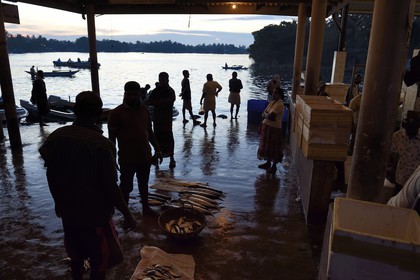 Sri Lanka, Western Province, Negombo, the port fish market