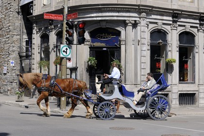 Canada, province de Québec, Montréal, calèche dans le quartier du Vieux-Montréal