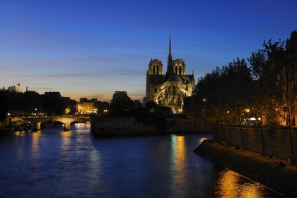France, Paris (75), les rives de la Seine, classées Patrimoine Mondial de l'UNESCO, la cathédrale Notre-Dame