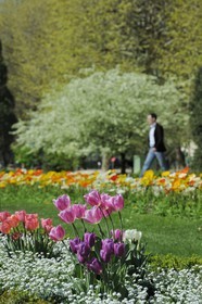 France, Paris (75), le jardin des Plantes au printemps