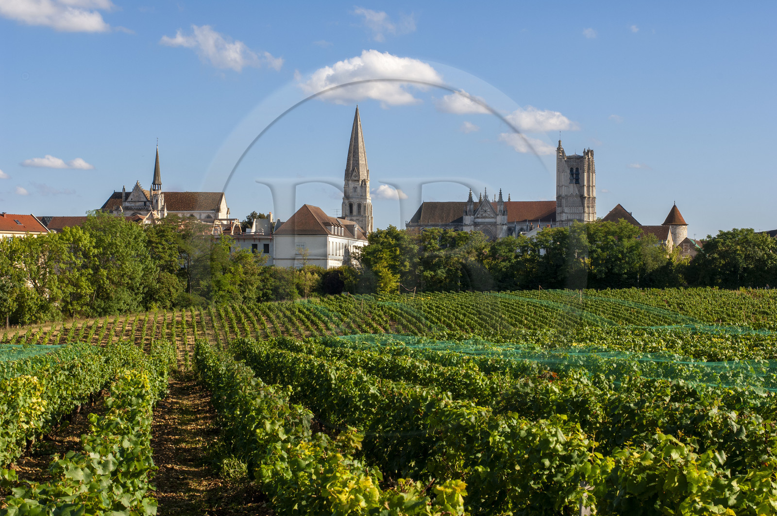 France, Yonne (89), Auxerre, vignes du Clos de la Chaînette (dans le centre hospitalier spécialisé de l'Yonne) et l'abbaye Saint-Germain