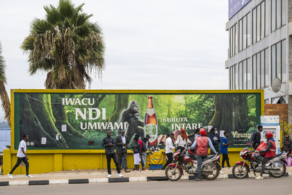Rwanda, Kigali, publicité pour la bière Virunga fabriquée au Rwanda mettant en scène un gorille