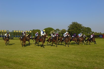 Republic of Ireland, County Meath, Ratoath, Fairyhouse racecourse, horse race start