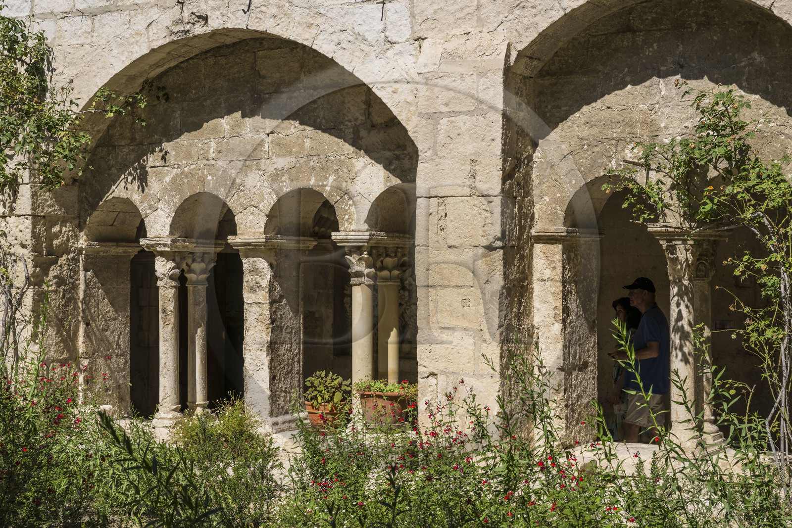 France, Bouches-du-Rhône (13), Parc Naturel Régional des Alpilles, Saint-Rémy-de-Provence, monastère Saint-Paul-de-Mausole, où Van Gogh fût interné en 1889-1890, le cloitre roman du 11e et 12e siècle