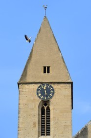 France, Haut Rhin, Eguisheim, labelled Les Plus Beaux Villages de France (The Most Beautiful Villages of France), Saint Pierre and Saint Paul Church, stork