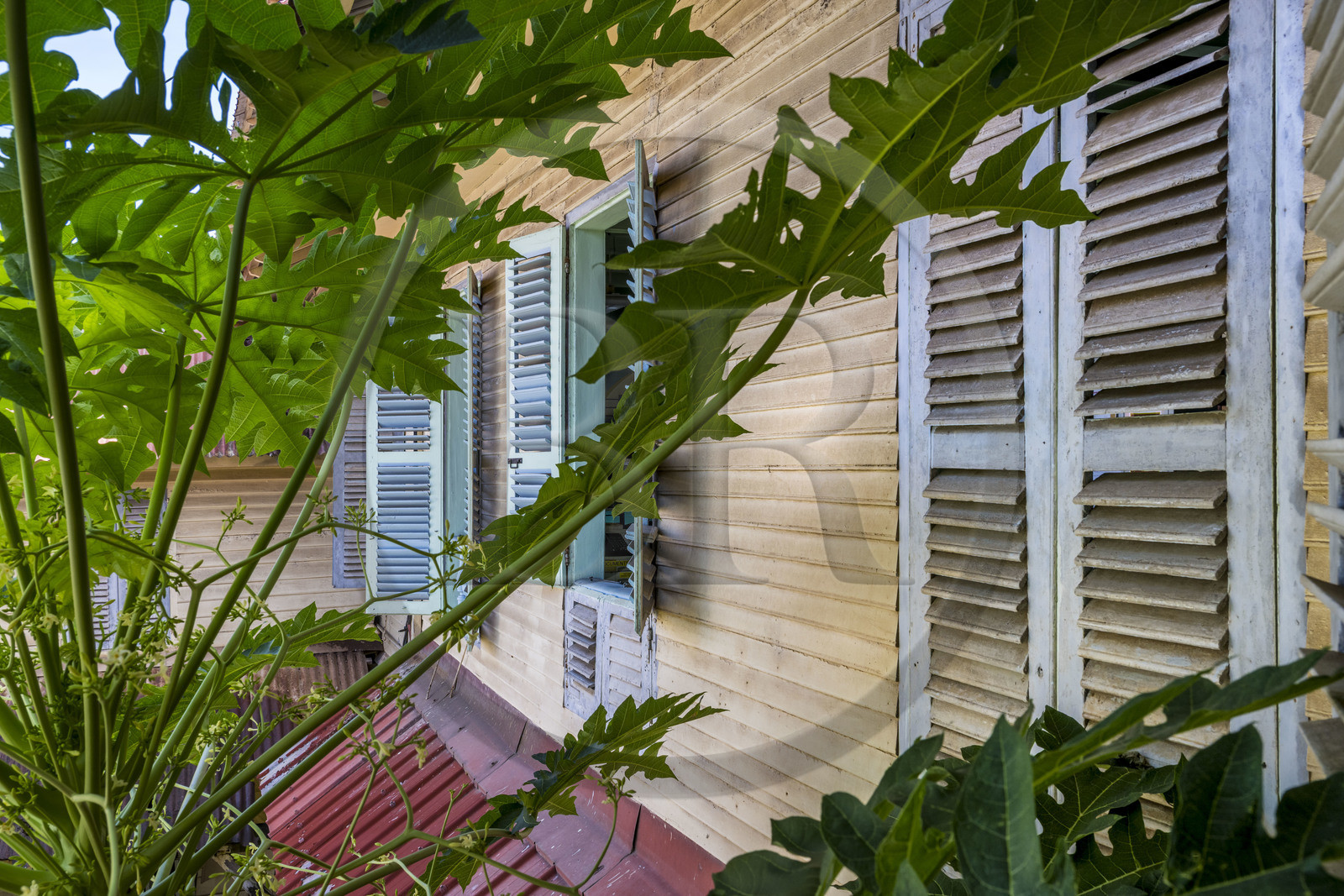France, Guyane, Cayenne, musée départemental Alexandre-Franconie