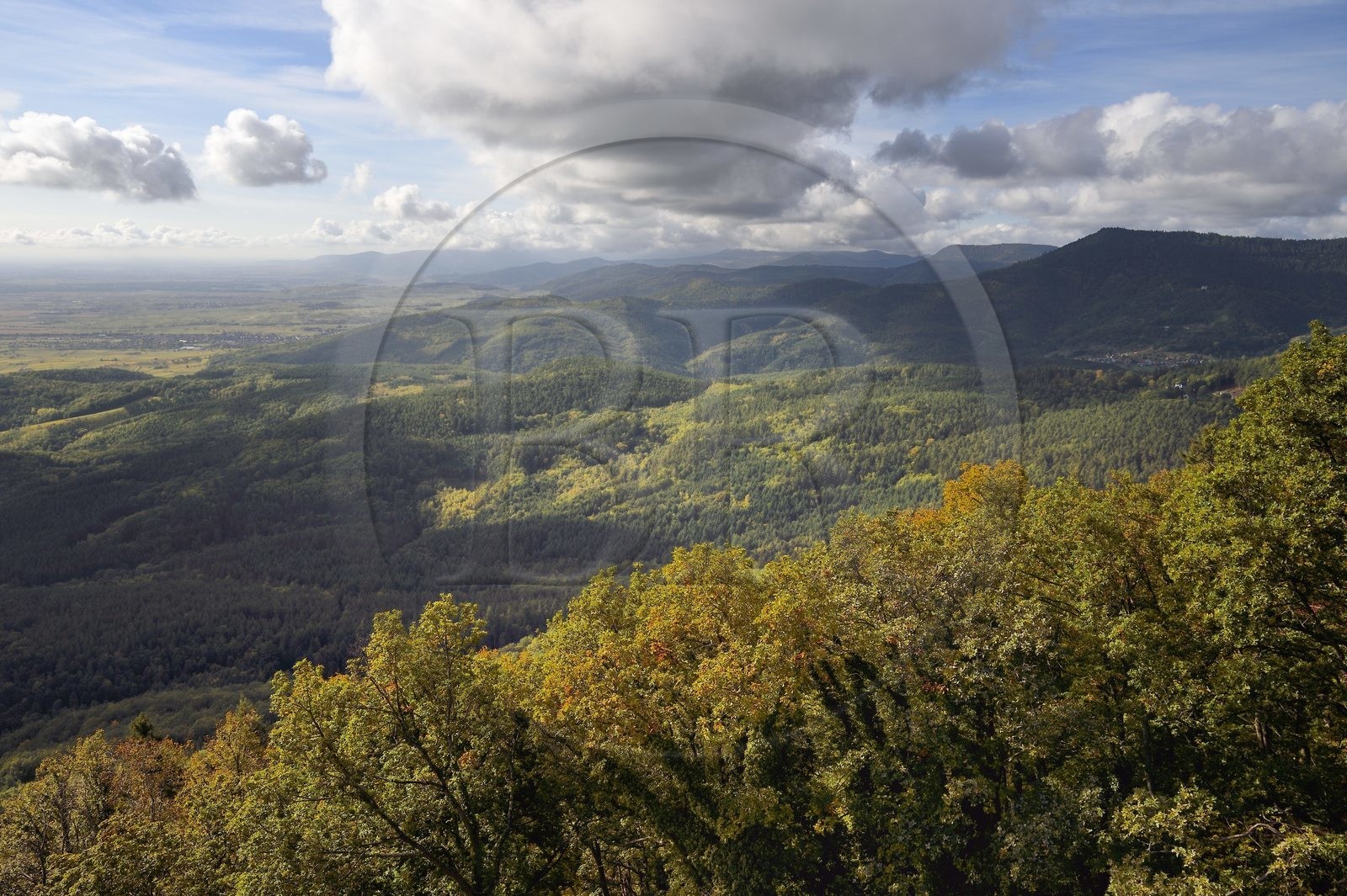 France, Bas-Rhin (67), Orschwiller, le versant Est des Vosges vers Thannenkirch en arrière plan à droite vu depuis le chateau du Haut-Koenigsbourg