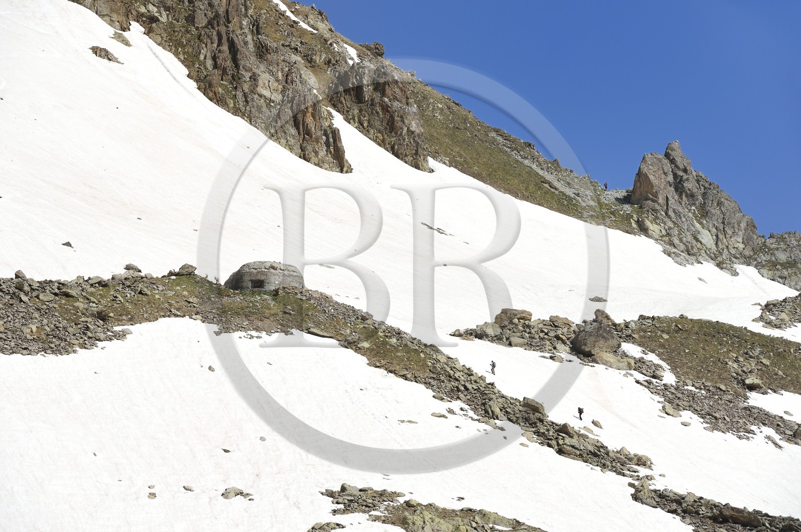France, Alpes-Maritimes (06), parc national du Mercantour, Haute-Vésubie, randonnée dans le vallon de la Madone de Fenestre, des bouquetins errant près des forts construits par les Italiens près du col de Fenestre