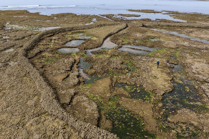 France, Charente Maritime, Oleron island, Saint Georges d'Oléron, Sables Vignier beach at low tide, the Basses fish lock (aerial view)
