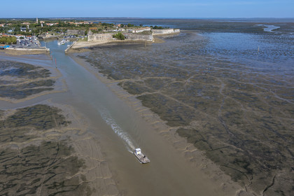 France, Charente Maritime, Oleron island, le Chateau-d'Oleron, oyster boat in the port exit channel at low tide and onshore fishermen on the foreshore (aerial view)