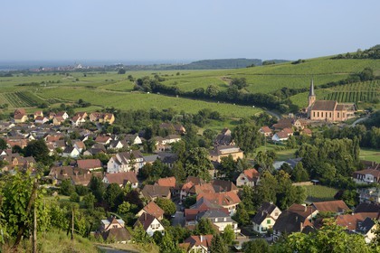 France, Bas Rhin, the Alsace Wine Route, Andlau, the Saint Andre chapel and the vineyard