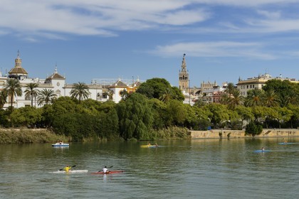 Spain, Andalusia, Seville, Guadalquivir river Banks, the bullring (plaza de Toros) and the Giralda in the background