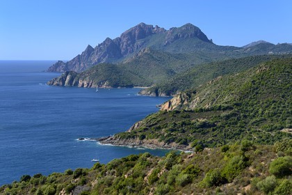 France, Corse du Sud, Golfe de Porto, listed as World Heritage by UNESCO, the Capo Senino