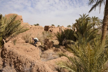 Iran, Province d'Ispahan, désert du Dasht-e Kavir, l'oasis d'Arousan dans la région de Khur et Biabanak, paysan rentrant du champ et maisons en terre crue