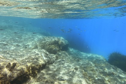 France, Var, Le Rayol Canadel sur Mer, Domaine du Rayol, Jardin des Mediterranees, Conservatoire du Littoral Estate compulsory mention, the marine path rocky bottoms