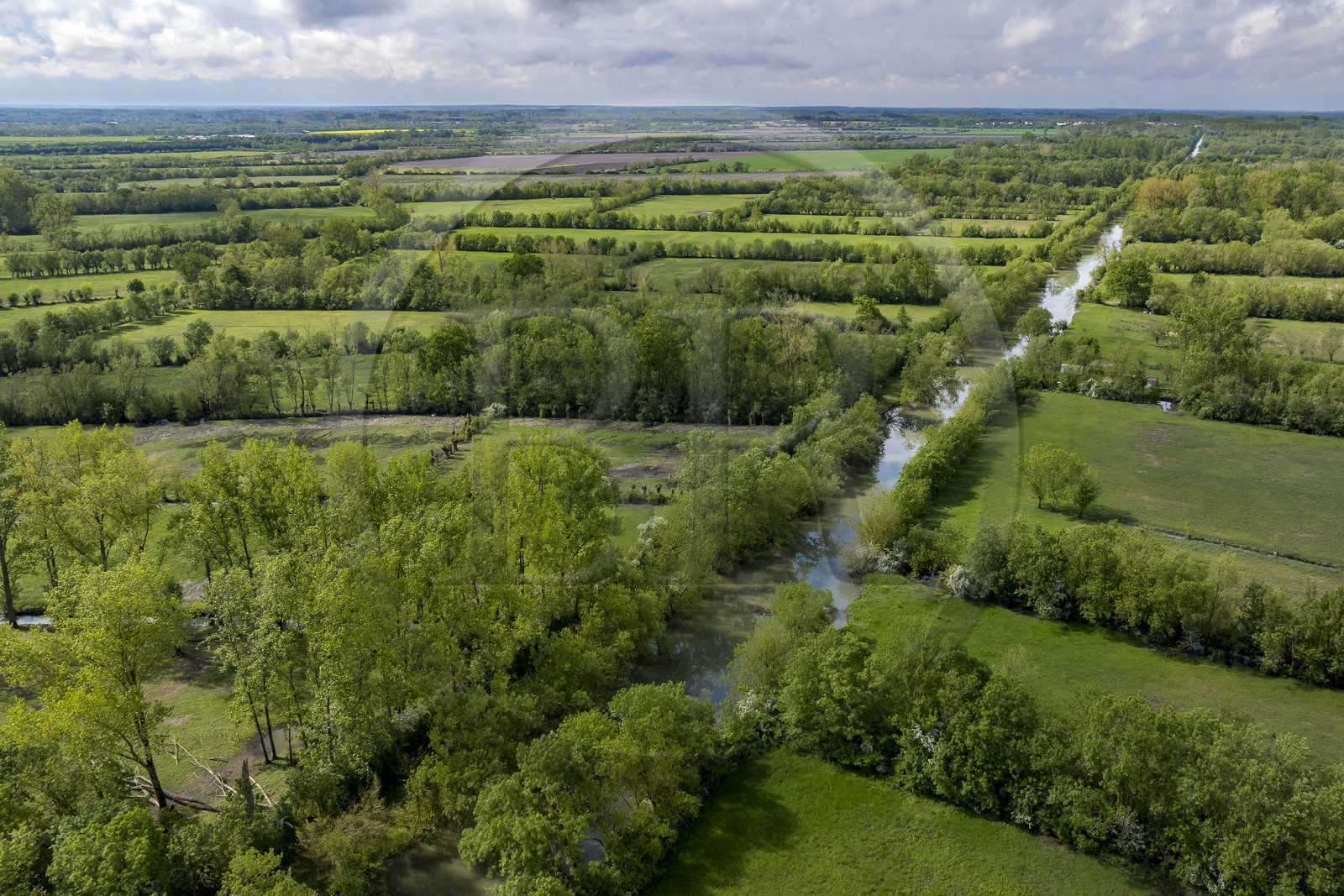 France, Vendée (85), Parc Interrégional du Marais Poitevin labellisé Grand Site de France, Maillezais, parcelles de terres entrecoupées par les affluents de l'Autise (vue aérienne)