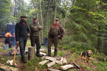 France, Haut Rhin, Thannenkirch, Taennchel massif, temporary camp of three communal lumberjacks present to replant Douglas firs around the Rocher des Geants