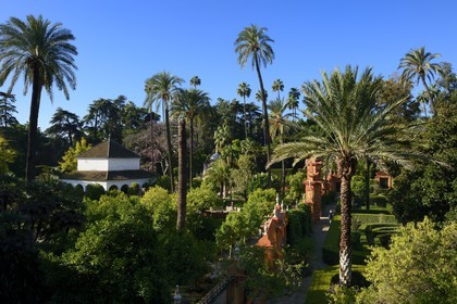 Espagne, Andalousie, Séville, Alcazar de Séville (Reales Alcazares de Sevilla), classé Patrimoine Mondial de l'UNESCO, les jardins et le pavillon de Carlos V