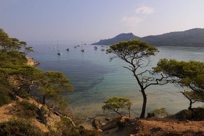 France, Var (83), Iles d'Hyères, parc national de Port-Cros, île de Porquerolles, la Plage Notre Dame