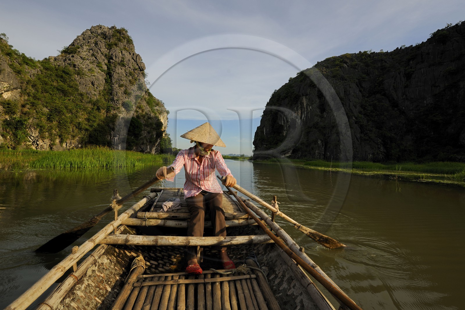 Vietnam, province de Ninh Binh, région surnommée la baie d'Halong terrestre, réserve naturelle de Van Long et ses paysages karstiques