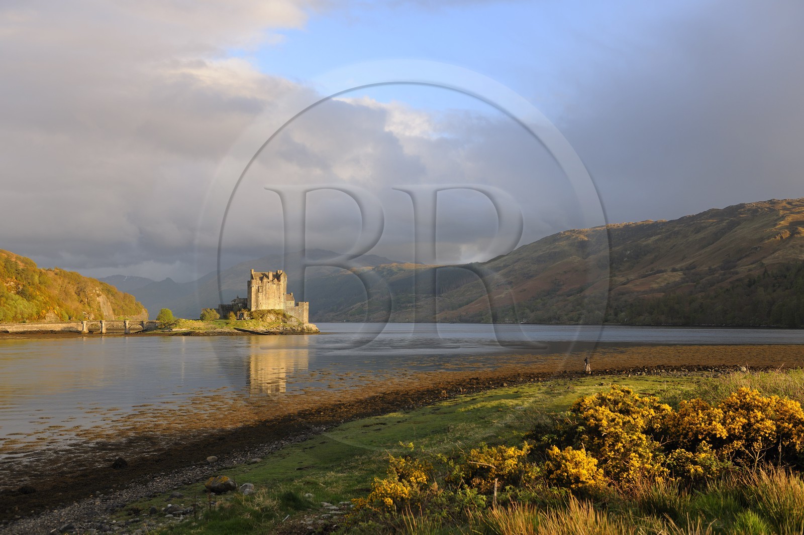 Royaume-Uni, Ecosse, région des Highlands, comté de Ross & Cromarty, Eilean Donan Castle, château à l'entrée du Loch Duich