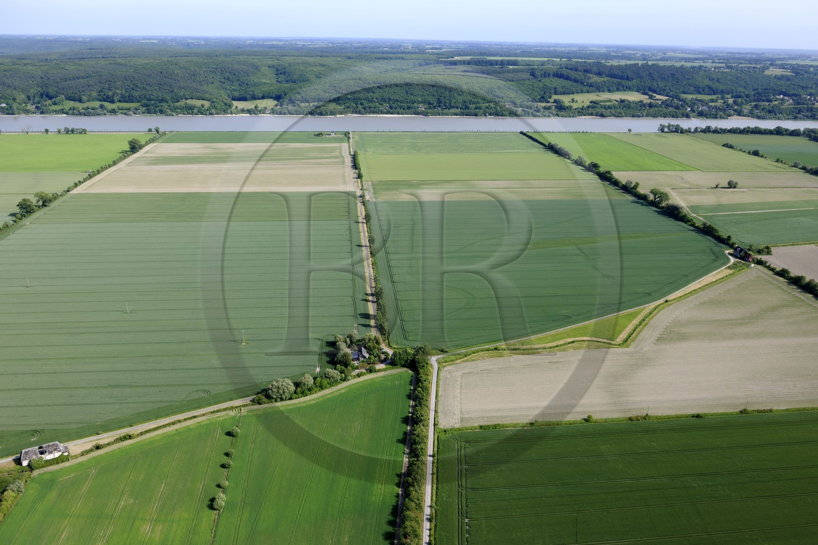 France, Seine-Maritime (76), Saint-Maurice-d'Etelan, champs en bordure de la Seine et le Parc Regional de Brotonne en arrière plan (vue aérienne)