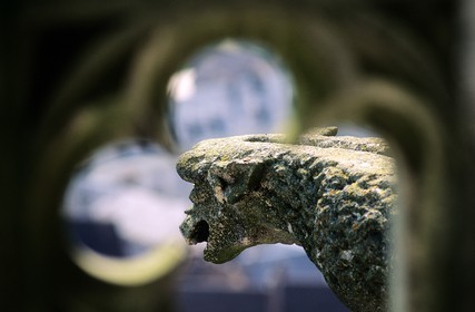 France, Eure et Loir, Chartres, Notre Dame de Chartres Cathedral listed as World Heritage by UNESCO, gargoyle of the northern tower
