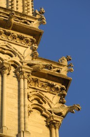 France, Paris (75), Ile de la Cité, cathédrale Notre-Dame de Paris, gargouilles de la tour sud