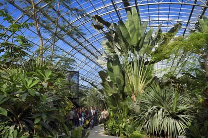 France, Paris (75), Le Parc zoologique de Paris (Zoo de Vincennes), restitution de la végétation tropicale dans la Grande Serre dans dans la biozone Guyane