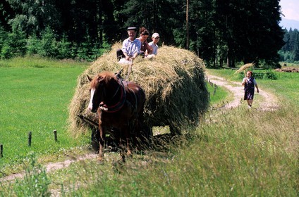 Poland, Lesser Poland, farmers coming back from making hay on their wagon around Debno